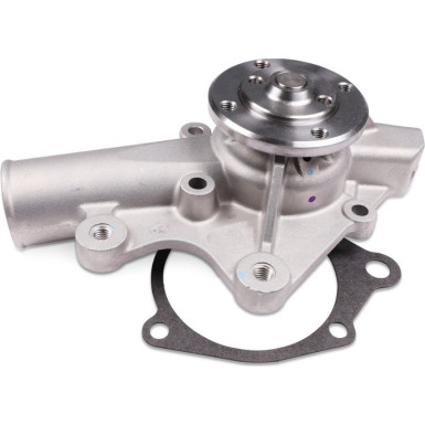 HEPU Wasserpumpe P1716 HEPU Wasserpumpe P1716