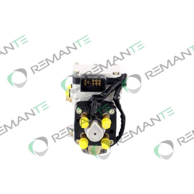 Einspritzpumpe | 002-001-000060R