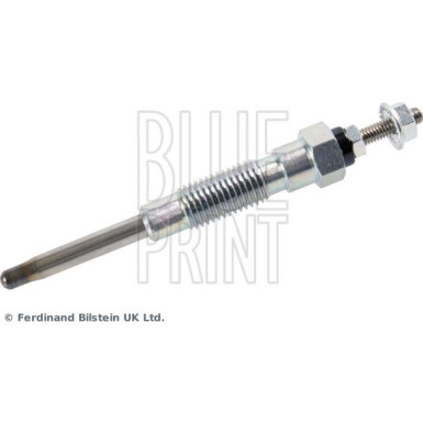 BluePrint Glühkerze BluePrint Glühkerze