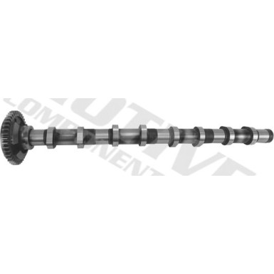 Nockenwelle | T4341