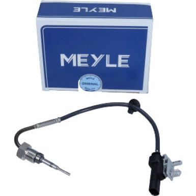 Sensor, Abgastemperatur | 6148000074