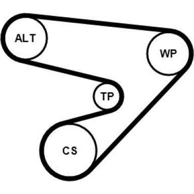 CONTINENTAL CTAM Keilrippenriemensatz 5PK1230K1