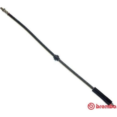BREMBO Bremsschlauch | T 61 021