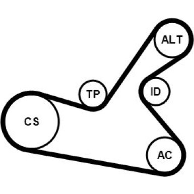 Continental CTAM Satz Gürtel 6PK1125K1