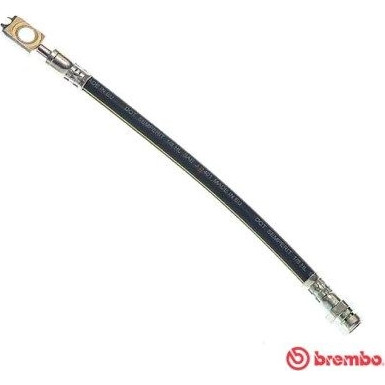 BREMBO Bremsschlauch | T 85 146