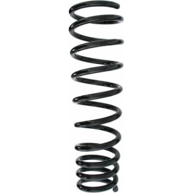 SPIDAN Fahrwerksfeder | 49480