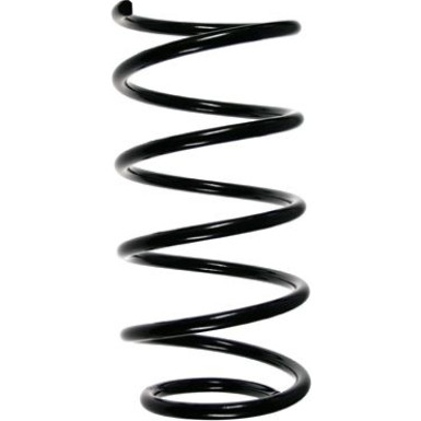 SPIDAN Fahrwerksfeder | 49259