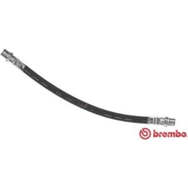 BREMBO Bremsschlauch | T 11 006