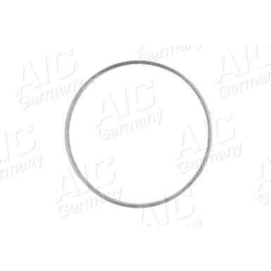 Sensorring ABS | FORD,SEAT,VW Sharan 95-10 | 54206