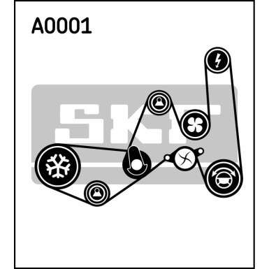 SKF Keilrippenriemensatz VKMA 31051