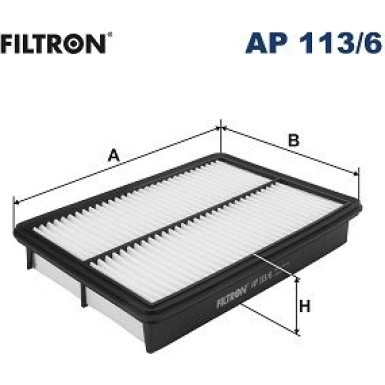 FILTRON Luftfilter | AP 113/6