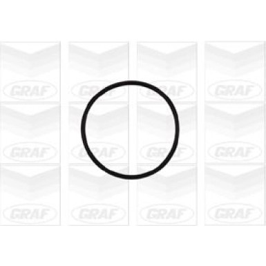 PA 837 Wasserpumpe | CITROEN Berl,C3, PEUGEOT 206 | PA837