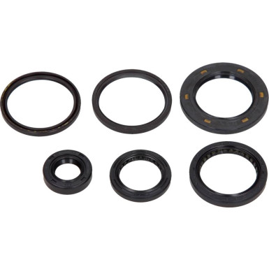 Satz Motoröldichtungssatz. Moto. Honda Forza Nss 250 2005-2007 (6El) | 666A210SR