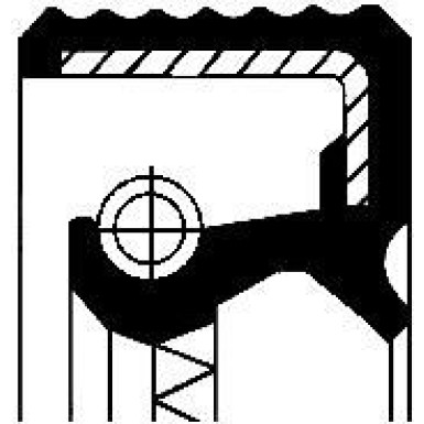 12012569B Wellendichtring, Radnabe