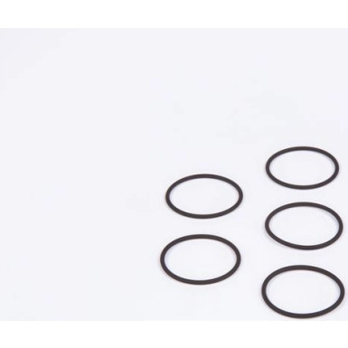 O-Ring | Diverse | F 00R J00 220