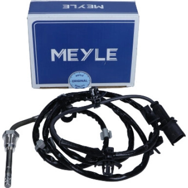 Sensor, Abgastemperatur | 6148000066