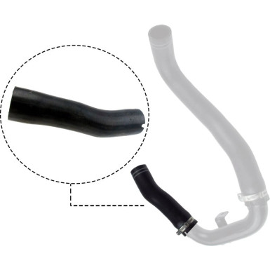 RAPRO Ladeluftschlauch R11609