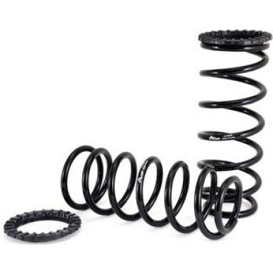 Arnott Fahrwerksfedernsatz HA | TOYOTA Land Cruiser Prado 02-09 | C-2410