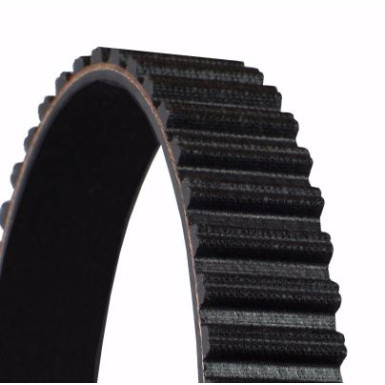 Zahnriemen | CT954 Zahnriemen | CT954