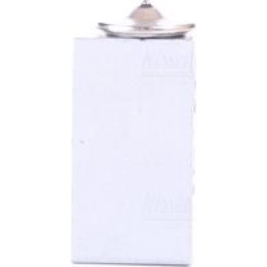 Expansionsventil, Klimaanlage Renault Clio 05 FIRST FIT 999351