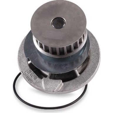 HEPU Wasserpumpe P398