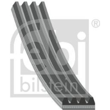 FEBI BILSTEIN Rillenriemen | 28811