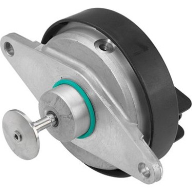 BorgWarner (Wahler) AGR-Ventil | 7211D/1