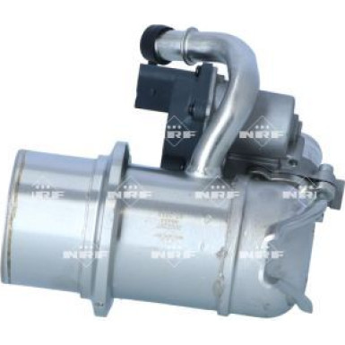 NRF AGR-Ventil 48454