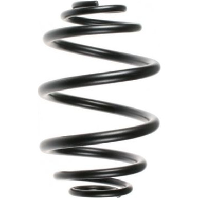 SPIDAN Fahrwerksfeder | 48721