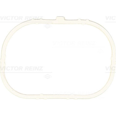 Dichtung Ansaugkrümmergehäuse | RENAULT Clio,Megane,Scenic,Modus | 71-37913-00