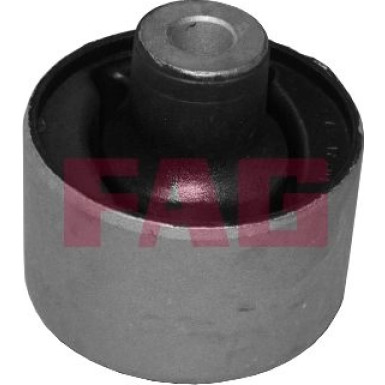 FAG Lagerung, Lenker