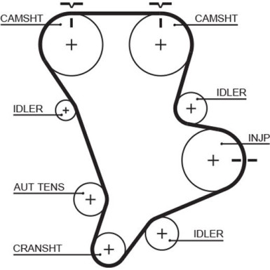 Zahnriemen | KIA Carnival II 2.9 CRDi | 5583XS