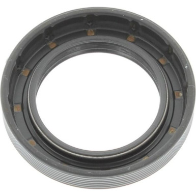 Wellendichtring, Differential | 12015556B