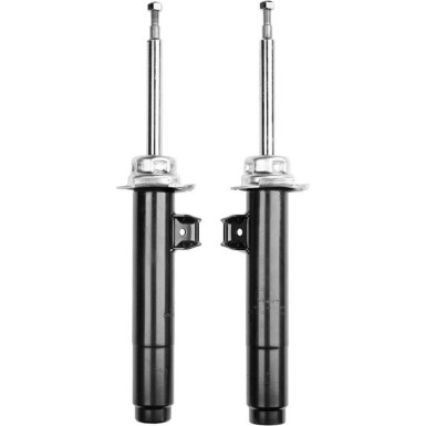 ADVENTURE-Offroad Dämpfer VA li/re | BMW X1 12 | D0038