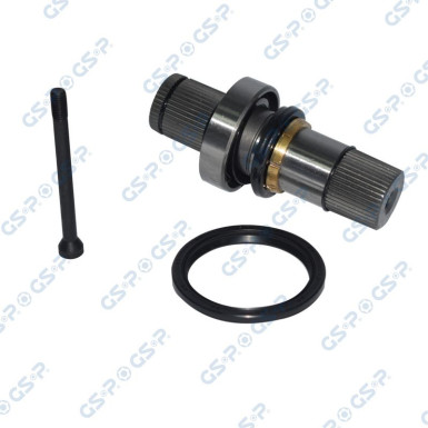 GSP Antriebswelle 261213