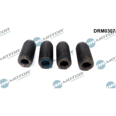 DRM0307 Justierschraube, Einspritzpumpe DRM0307 Justierschraube, Einspritzpumpe