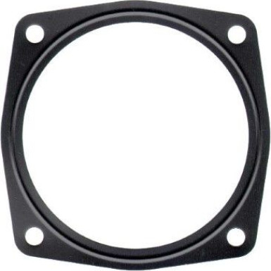 Dichtung, Drosselklappenstutzen | VOLKSWAGEN | 876.580