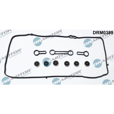 Dichtungssatz, Zylinderkopfhaube | DRM0389 Dichtungssatz, Zylinderkopfhaube | DRM0389