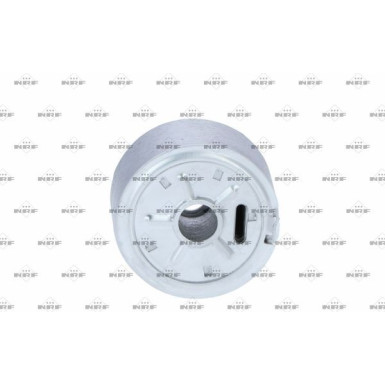 Ölkühler, Motor“L | 31353
