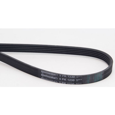 CONTINENTAL CTAM Keilrippenriemen 5PK1230