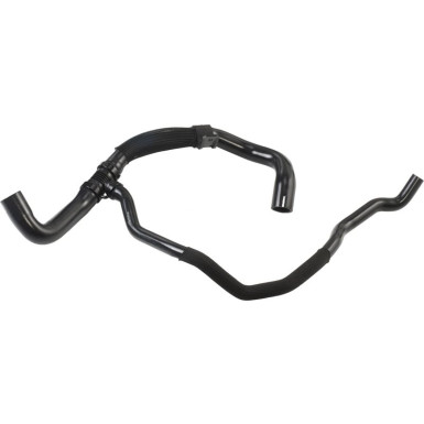 RAPRO Kühlerschlauch | R12519
