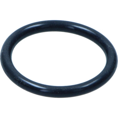 Original VAG Schlauchdichtung Audi A4 95-08 | N90380002