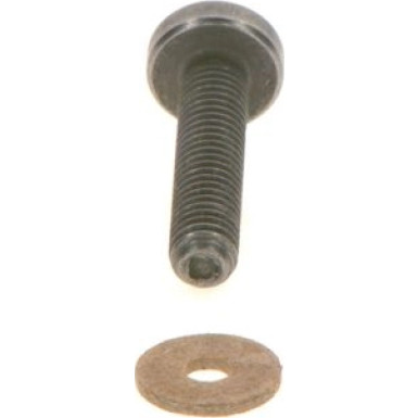 Torx-Linsenschraube | Diverse | F 00N 202 193