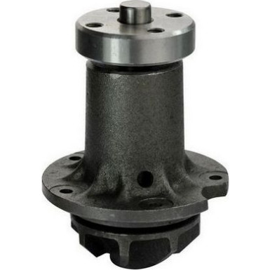 DENCKERMANN Wasserpumpe | A310021