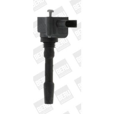 BorgWarner (BERU) Zündspule ZSE163