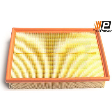 PROFIPOWER Luftfilter | 2F0248