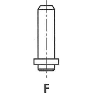 Ventilführung | G11181 Ventilführung | G11181