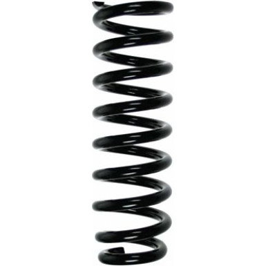SPIDAN Fahrwerksfeder | 55028