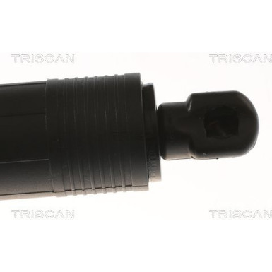 GASFEDER, KOFFER-/LADERAUM | 871011305