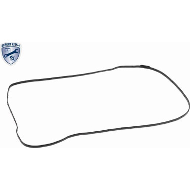 VAICO Ölwanne, Automatikgetriebe V20-0588 Expert Kits +